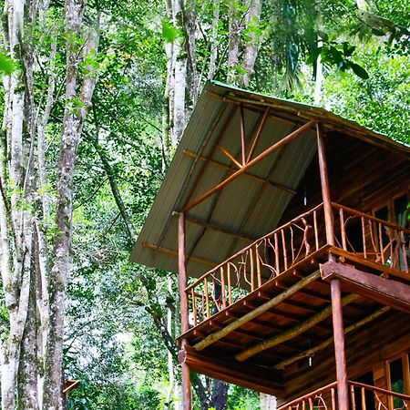 Ella Ecolodge ภายนอก รูปภาพ