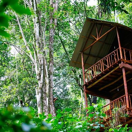 Ella Ecolodge ภายนอก รูปภาพ