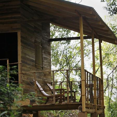 Ella Ecolodge ภายนอก รูปภาพ