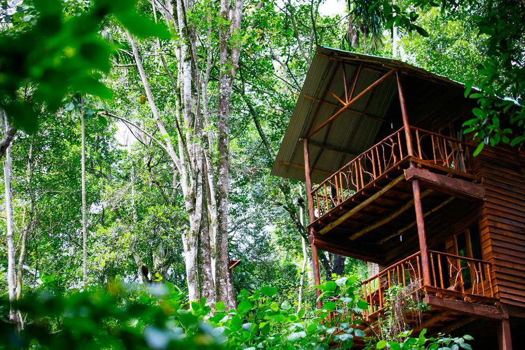 Ella Ecolodge ภายนอก รูปภาพ