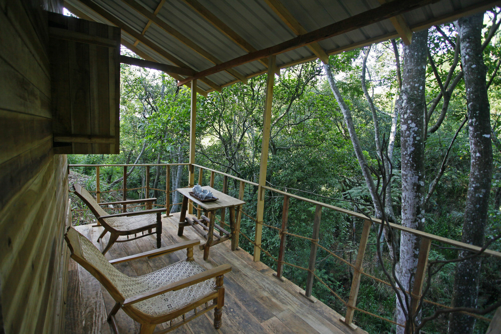 Ella Ecolodge ภายนอก รูปภาพ