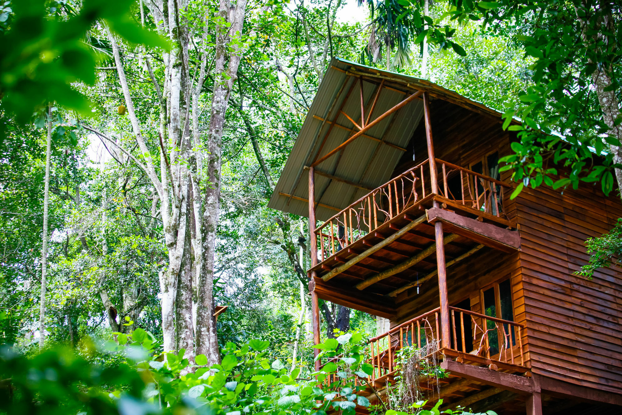 Ella Ecolodge ภายนอก รูปภาพ