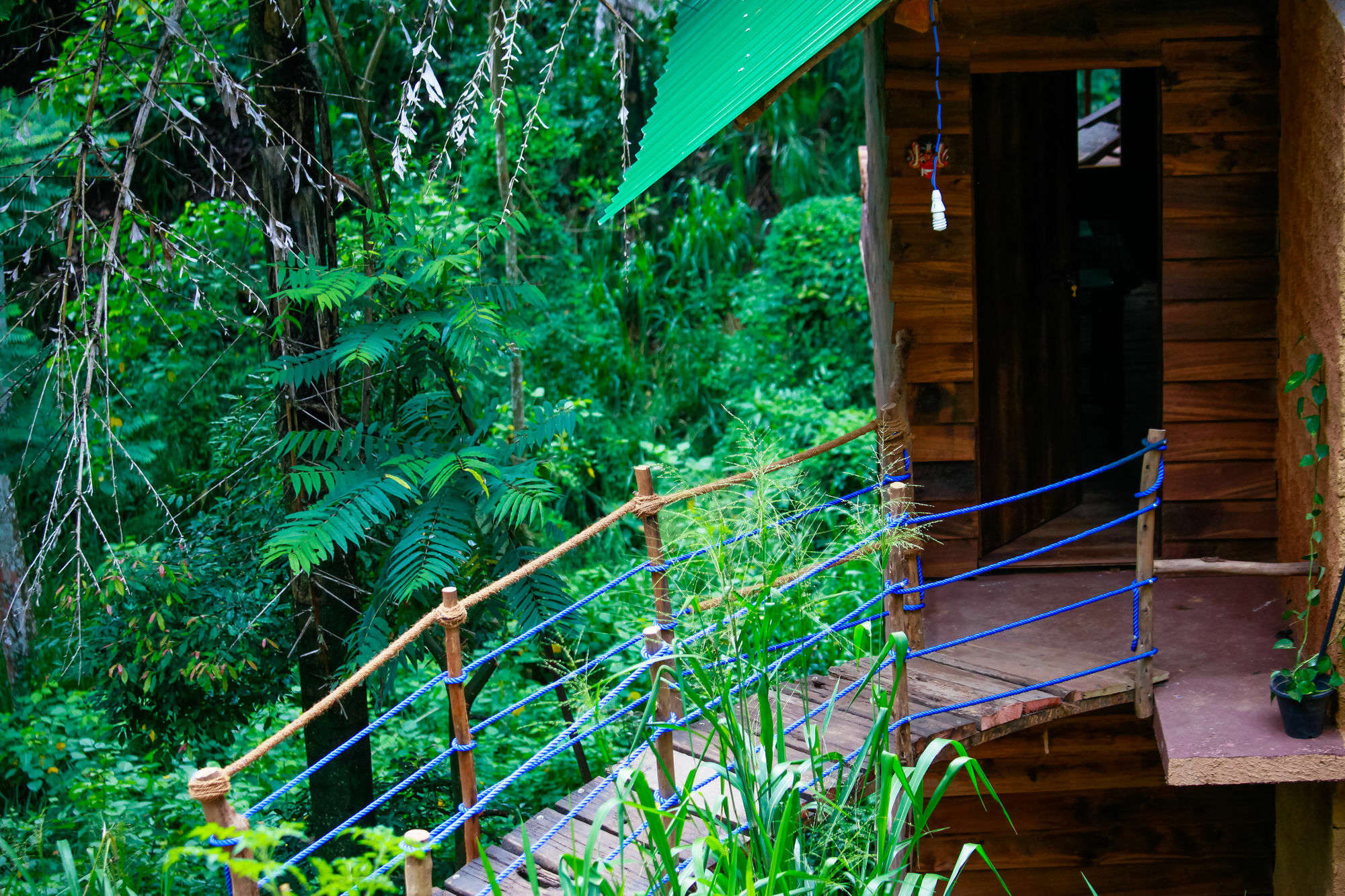 Ella Ecolodge ภายนอก รูปภาพ