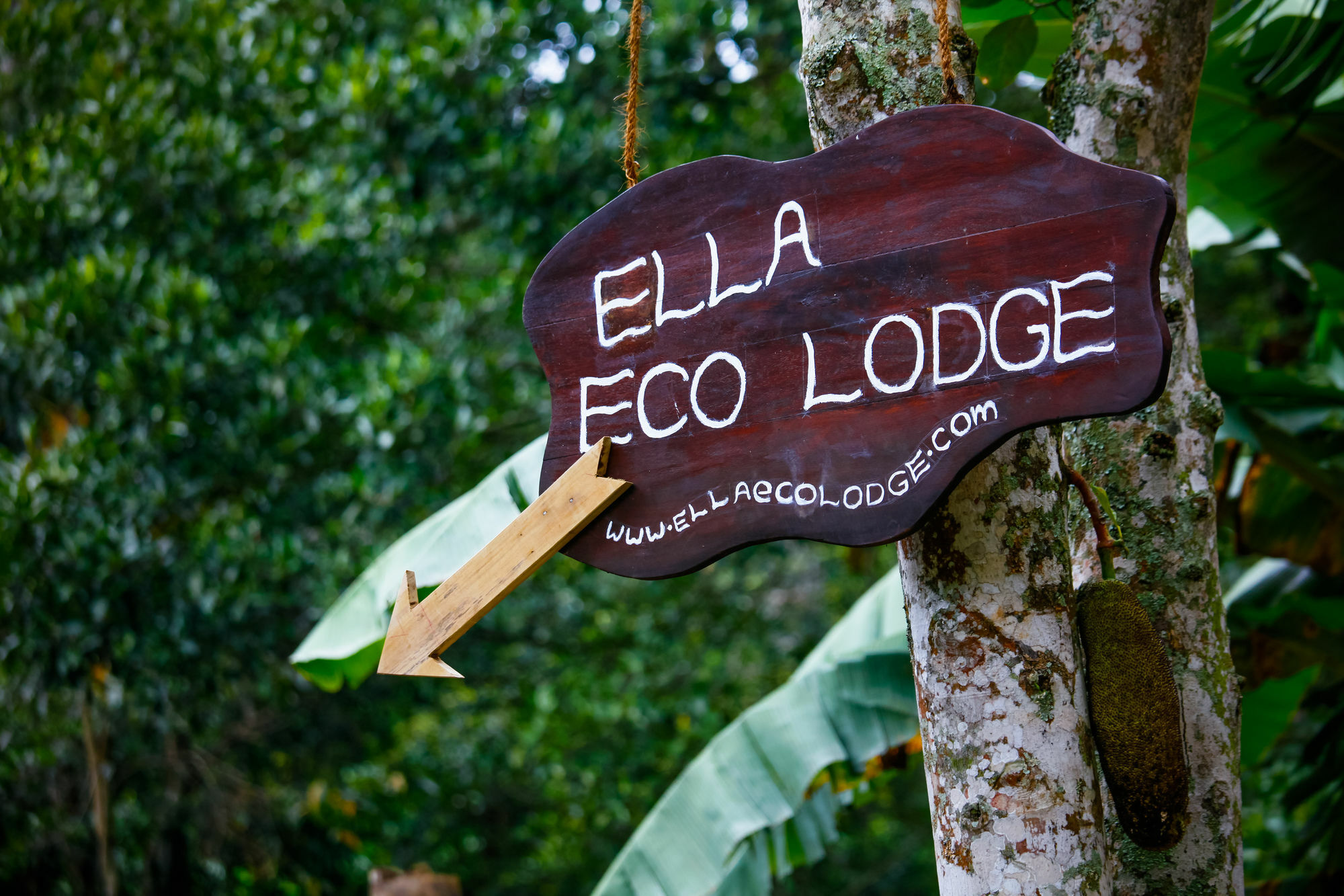 Ella Ecolodge ภายนอก รูปภาพ