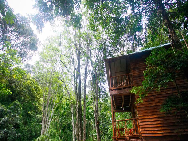 Ella Ecolodge ภายนอก รูปภาพ