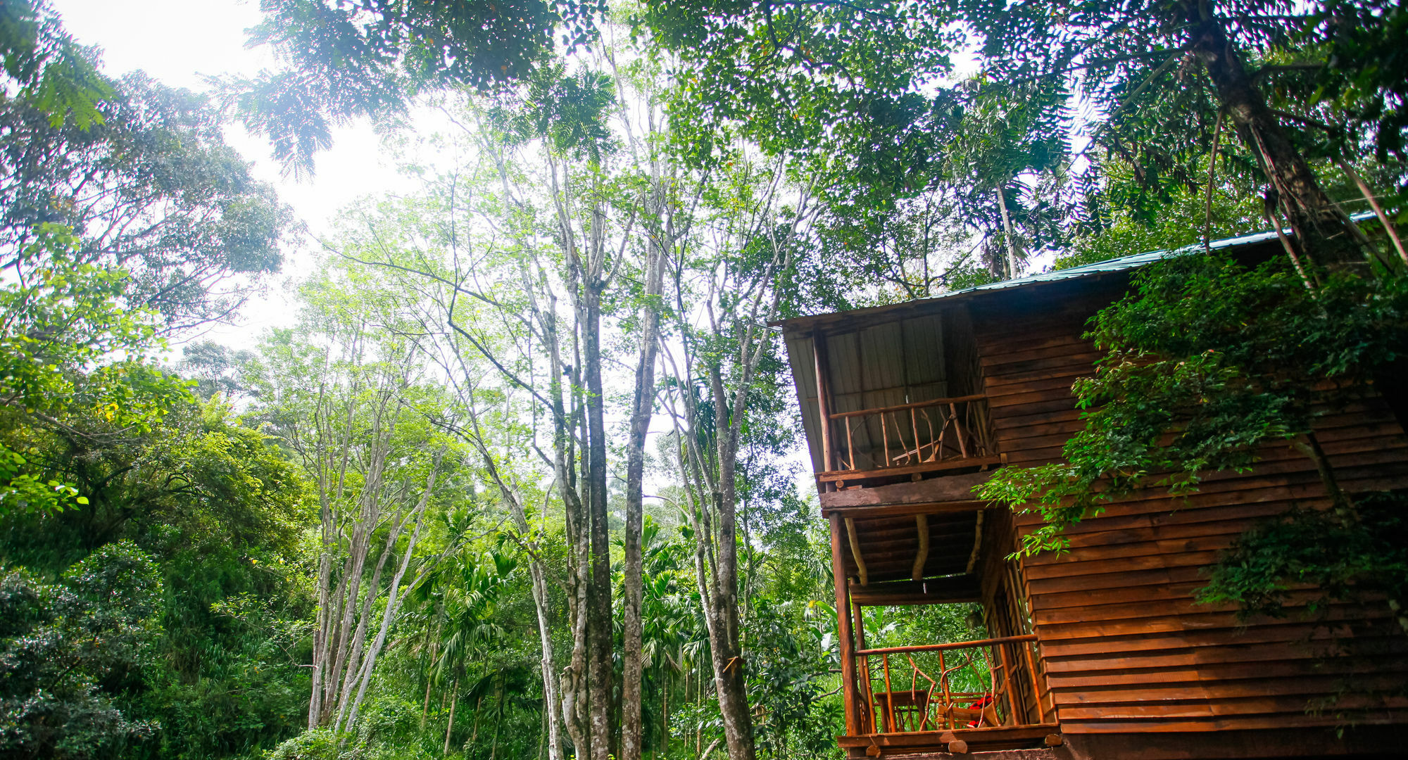 Ella Ecolodge ภายนอก รูปภาพ