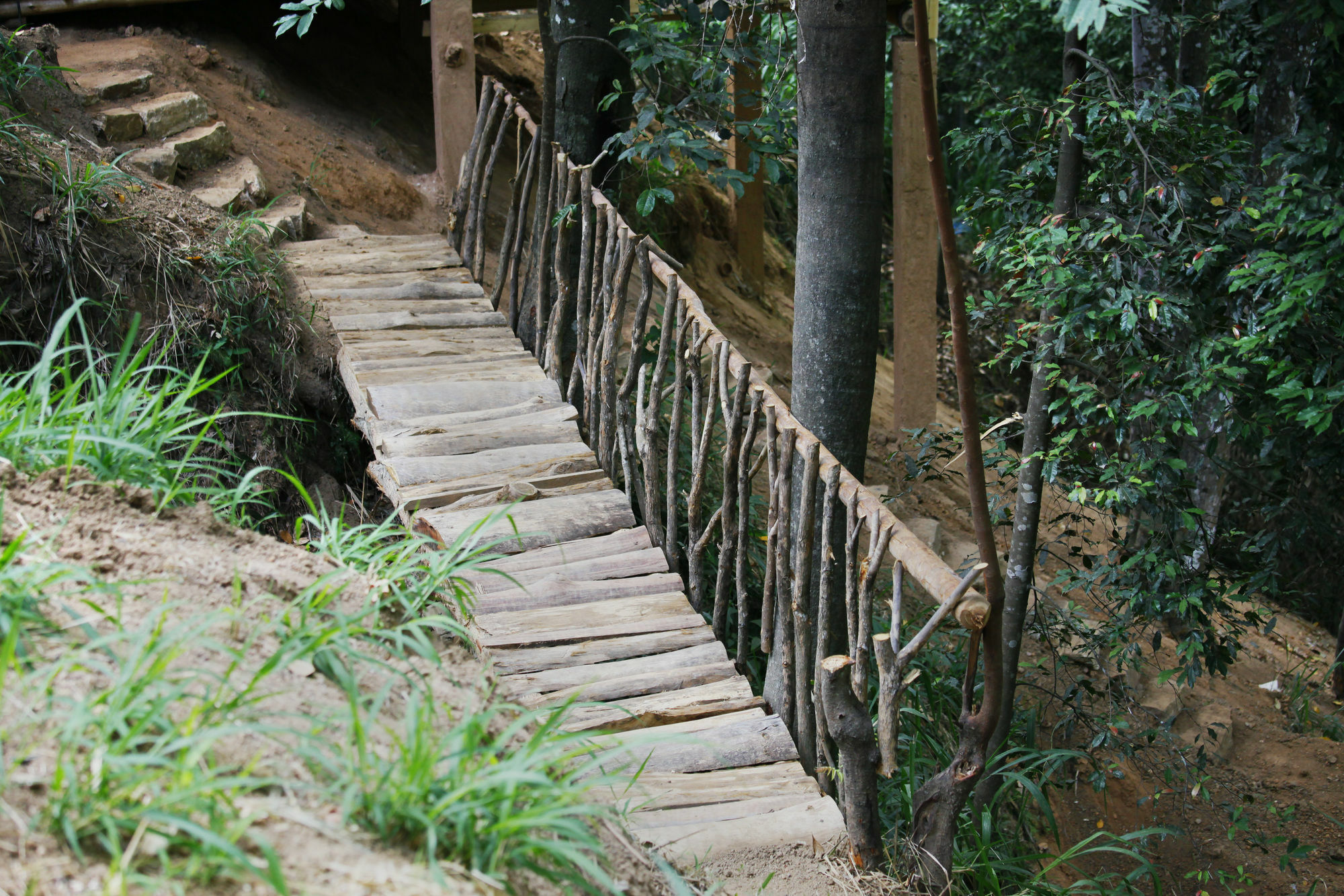 Ella Ecolodge ภายนอก รูปภาพ