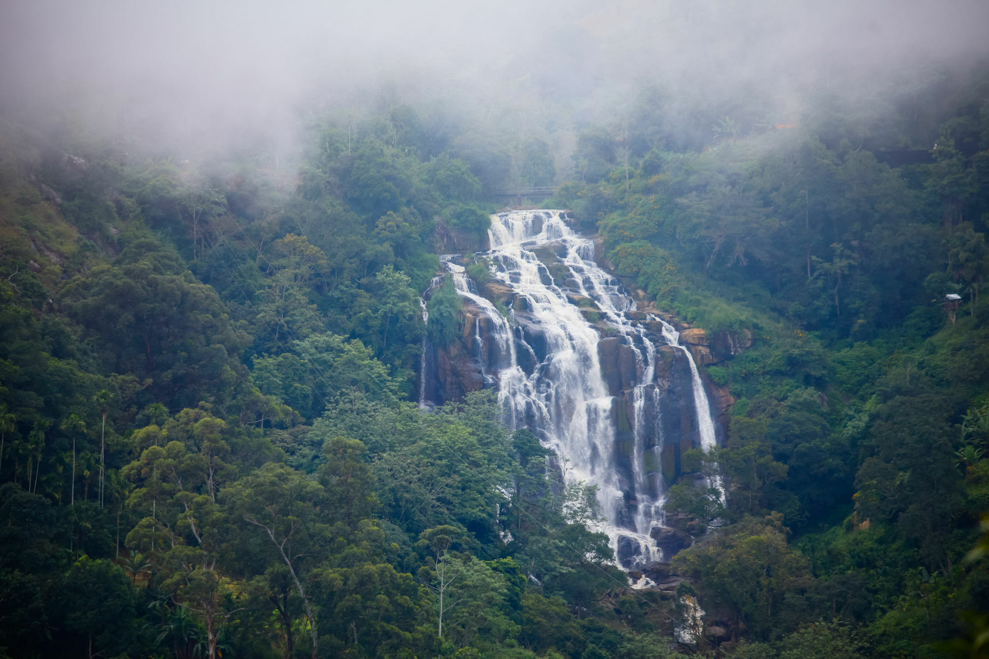 Ella Ecolodge ภายนอก รูปภาพ