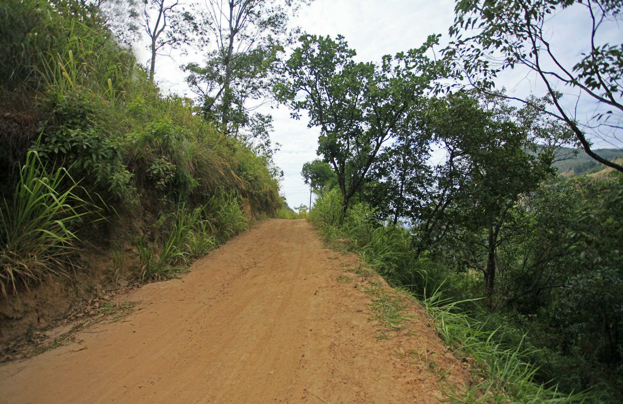 Ella Ecolodge ภายนอก รูปภาพ