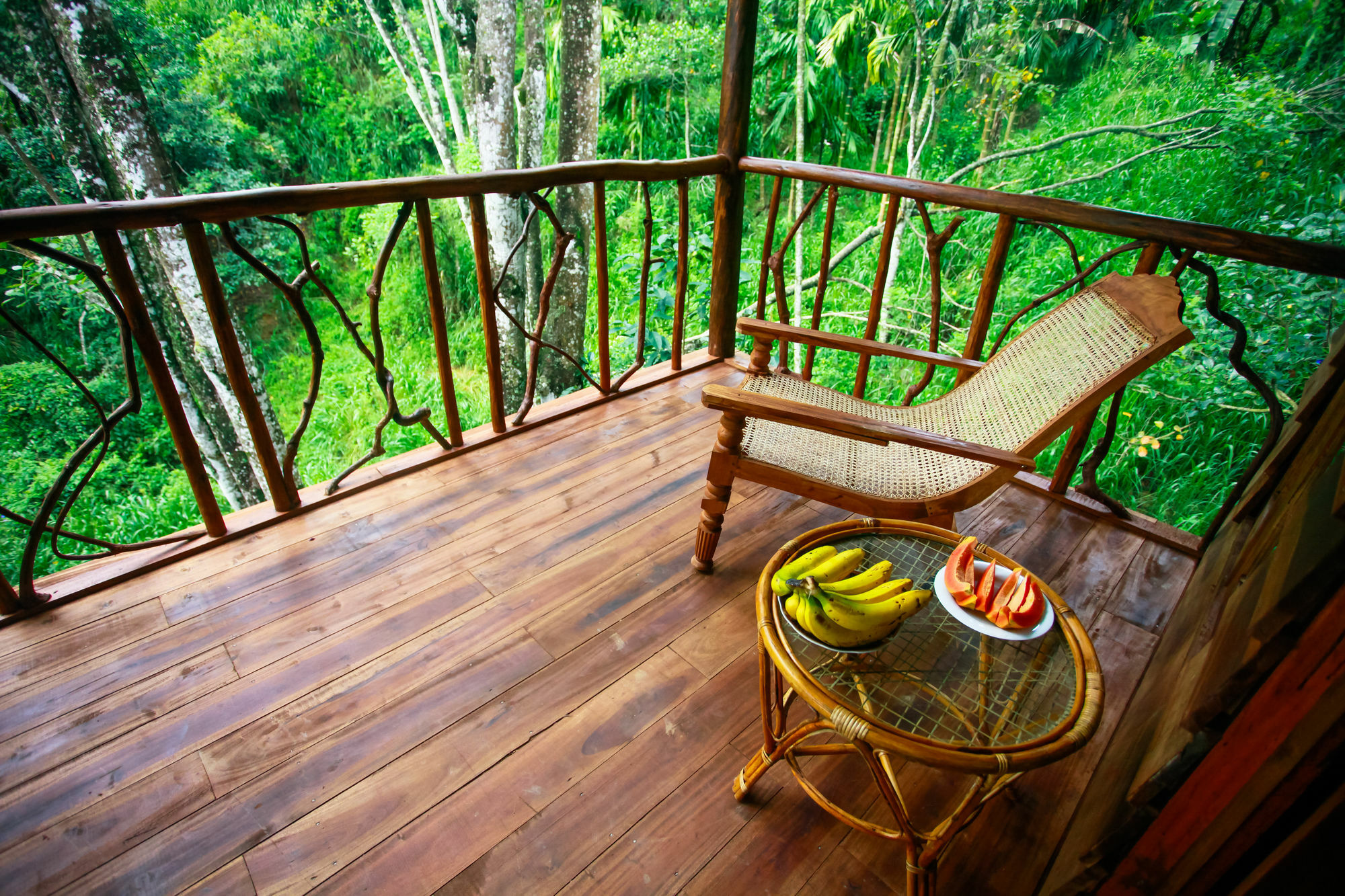 Ella Ecolodge ภายนอก รูปภาพ