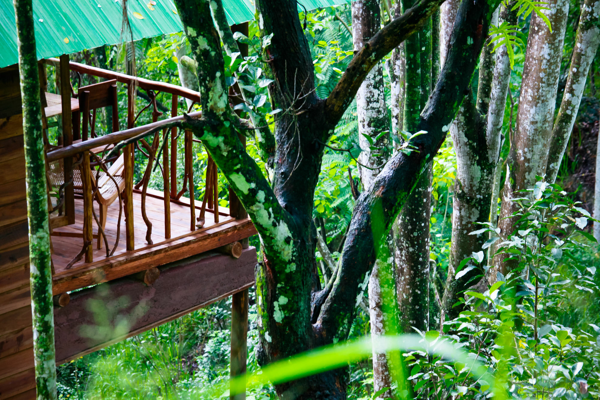 Ella Ecolodge ภายนอก รูปภาพ