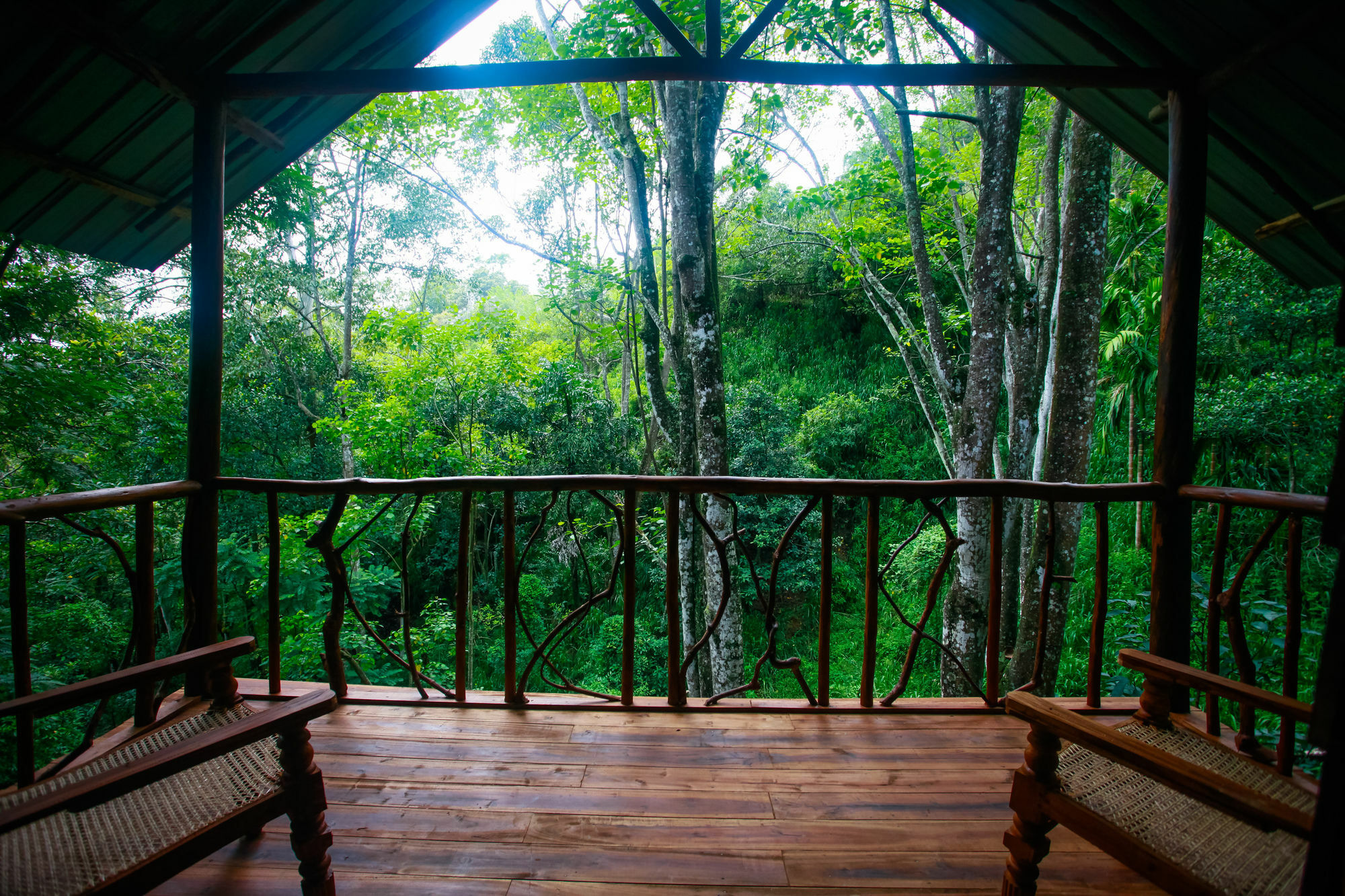 Ella Ecolodge ภายนอก รูปภาพ