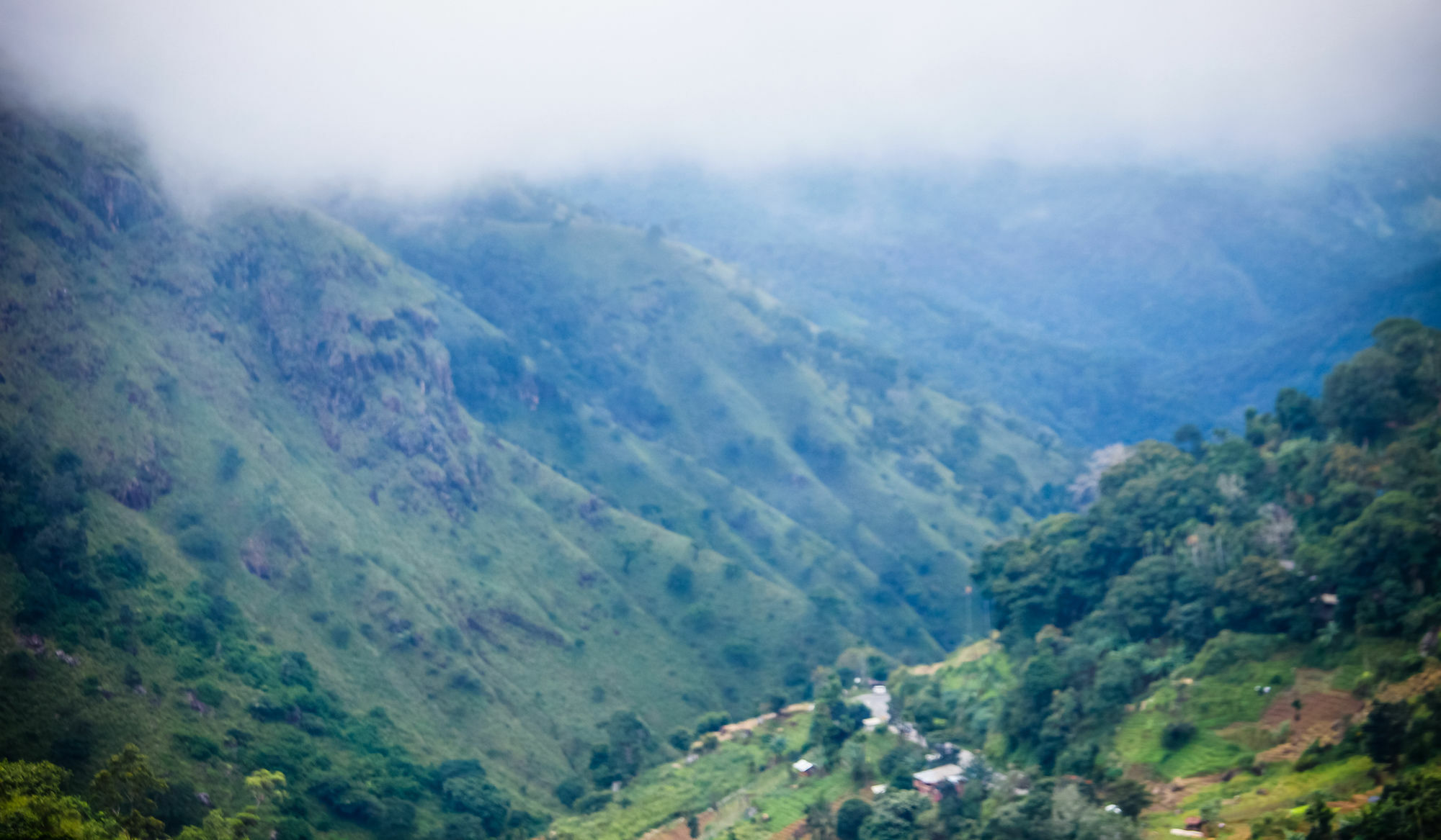 Ella Ecolodge ภายนอก รูปภาพ
